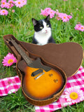 1954 Gibson Les Paul Junior with Original Alligator Chip Case