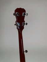 Royce All American Banjo "Elks Club" 1970's USA - Patriot Special