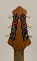 1954 First Series Prototype Danelectro