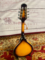 Rogue mandolin 2010 - Sunburst
