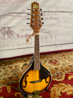 Rogue mandolin 2010 - Sunburst